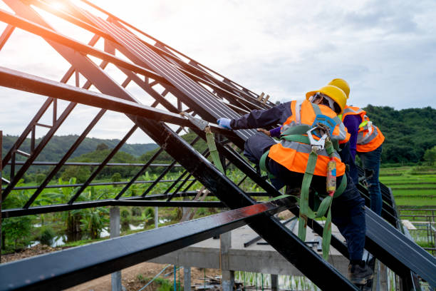 Best Roof Gutter Cleaning  in Mked Tree, AR