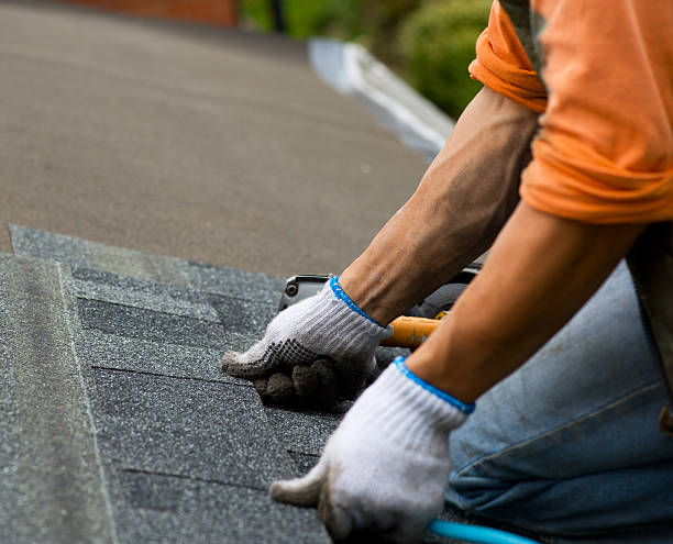 Best Best Roofing Contractors  in Mked Tree, AR