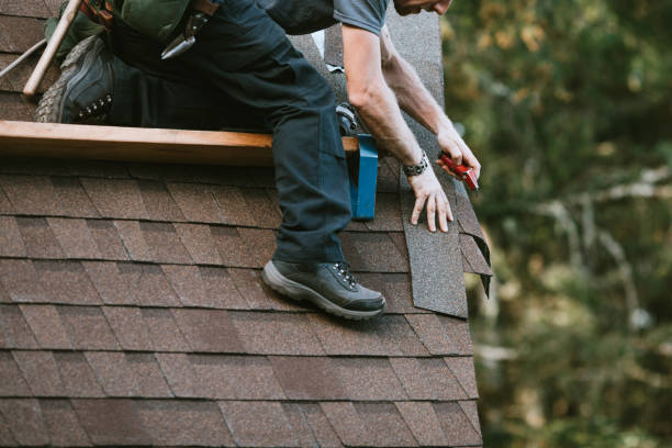 Best Roof Waterproofing Services  in Mked Tree, AR